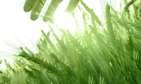 21-Day-Sadhana-for-Awakening-your-Prosperity